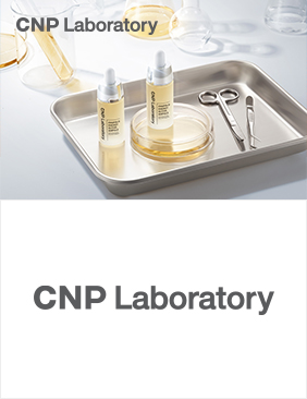 CNP