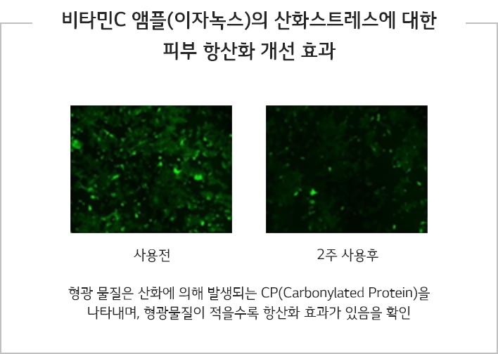 비타민C 앰플(이자녹스)의 산화스트레스에 대한 피부 항산화 개선 효과 - 형광 물질은 산화에 의해 발생되는 CP(Carbonylated Protein)을 나타내며, 형광물질이 적을수록 항산화 효과가 있음을 확인
